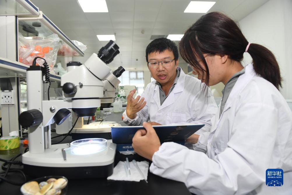 乐通老虎机官方网
